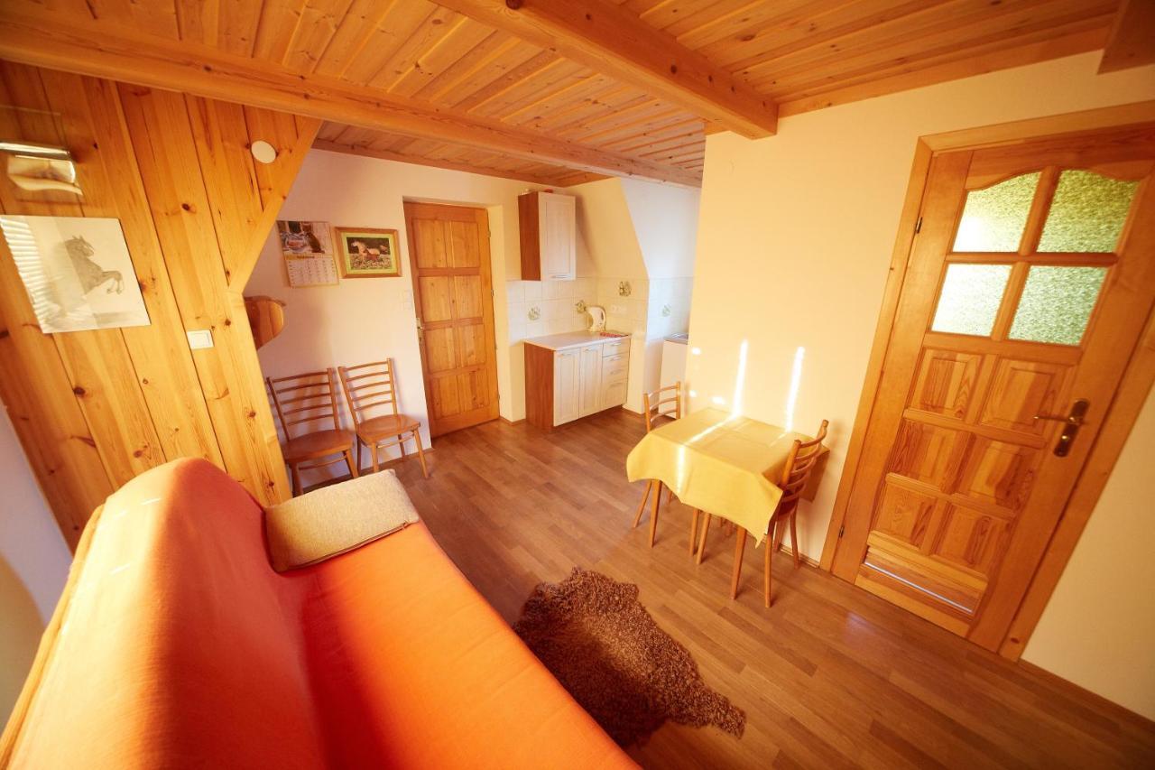 Siklawa Lejlighed Zakopane Værelse billede